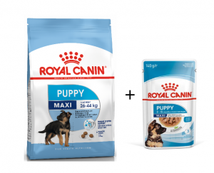 Royal Canin SHN Maxi Puppy 15 kg + DĀVANA Royal Canin SHN MAXI PUPPY WET 140gx10gb
